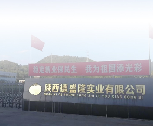 品牌实力